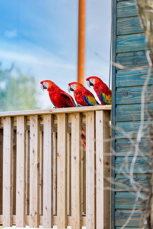 Parrot World - Les Lodges Crécy-la-Chapelle Extérieur photo