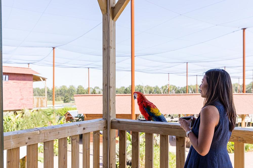 Parrot World - Les Lodges Crécy-la-Chapelle Extérieur photo